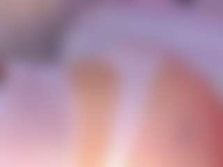 Nathalie Rivers's Live Sex Cam Show