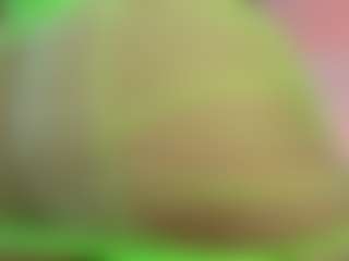 Melonsboobss