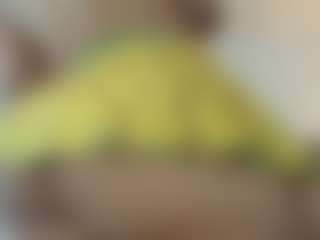 melonsboobss's Live Sex Cam Show