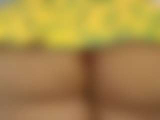 melonsboobss's Live Sex Cam Show