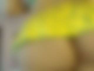melonsboobss's Live Sex Cam Show