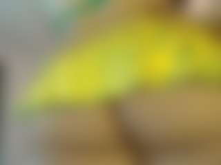 melonsboobss's Live Sex Cam Show