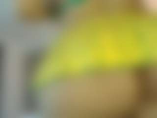 melonsboobss's Live Sex Cam Show