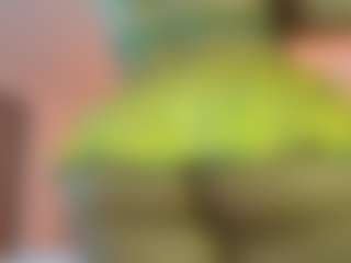 melonsboobss's Live Sex Cam Show