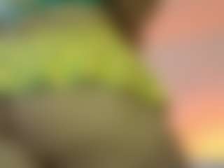 melonsboobss's Live Sex Cam Show