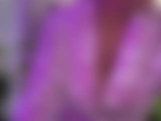 MIlf-Goddess's Live Sex Cam Show