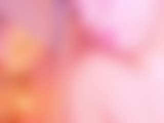 EvaaGrace's Live Sex Cam Show