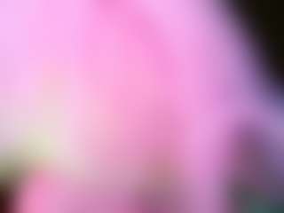 Sugarbutt's Live Sex Cam Show