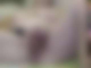 SandraCarina's Live Sex Cam Show