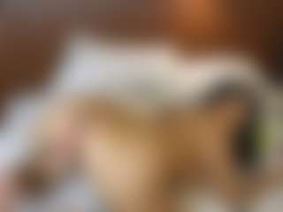Live cam show with katia-3 - Public Lovense on studioflirtlive.com