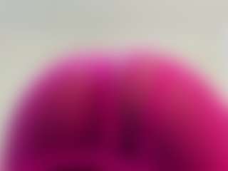 Abril-Taylorr's Live Sex Cam Show