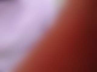 Cataleaa
