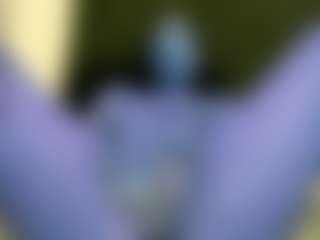 TIFANY-DIXON's Live Sex Cam Show