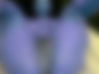 TIFANY-DIXON's Live Sex Cam Show