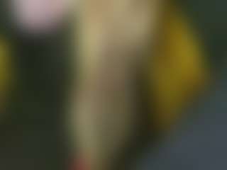 Live cam show with Elza Kom - Nipple Piercings on fuck-show.com