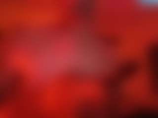 Lost's Live Sex Cam Show