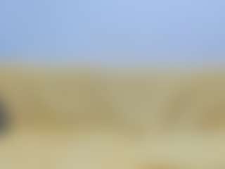 SheilaWetDream's Live Sex Cam Show