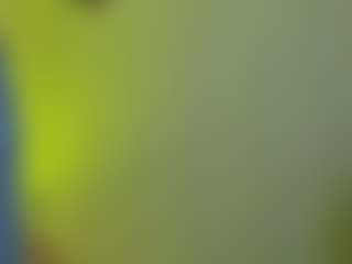 Live cam show with FernandaDiaz05 - Hairy Pussy Red Hair on parknlotfishbdy