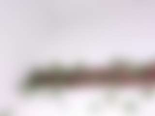 LexiieGrey's Live Sex Cam Show