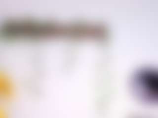 LexiieGrey's Live Sex Cam Show