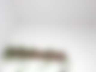 LexiieGrey's Live Sex Cam Show
