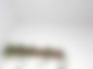 LexiieGrey's Live Sex Cam Show