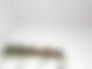 LexiieGrey's Live Sex Cam Show