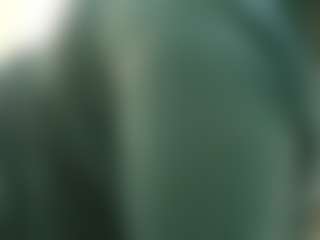 amalarabic's Live Sex Cam Show