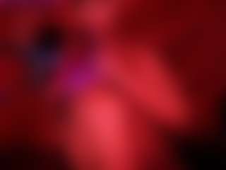BriannaBrave's Live Sex Cam Show