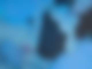 Ivy Swings's Live Sex Cam Show