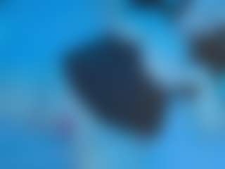 Ivy Swings's Live Sex Cam Show
