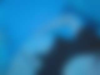 Ivy Swings's Live Sex Cam Show