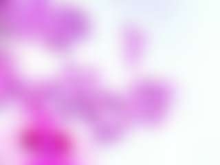 IndiraCollins's Live Sex Cam Show