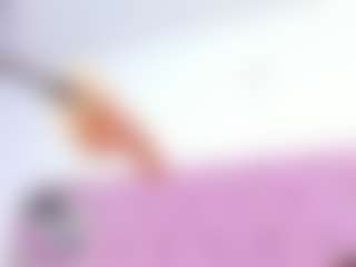 IndiraCollins's Live Sex Cam Show
