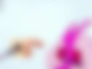 IndiraCollins's Live Sex Cam Show
