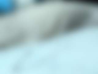 Live cam show with edwardtrans17 - Dirty Talk on Cam Slut