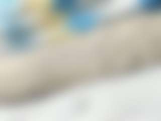 Live cam show with edwardtrans17 - White on AdultVida.com | colombia