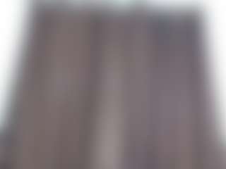 chocolust's Live Sex Cam Show