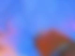 Lia Cox's Live Sex Cam Show