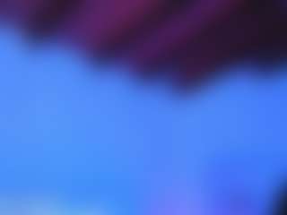 Lia Cox's Live Sex Cam Show