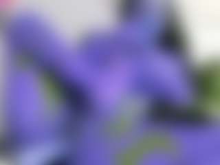 NATALIE-PARKER's Live Sex Cam Show