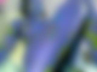 NATALIE-PARKER's Live Sex Cam Show