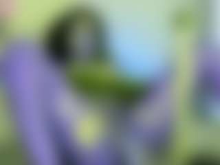 Live cam show with NATALIE-PARKER - Ebony Shaved Pussy on Sweet Sext