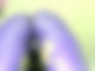 Live cam show with NATALIE-PARKER - Young Adult Teen (18+) on x69.live