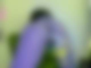 Live cam show with NATALIE-PARKER - Sexwebcam Black on xxxlivecams.org