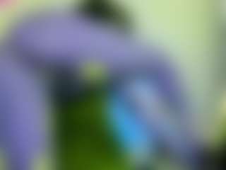 Live cam show with NATALIE-PARKER - Athletic Small Tits on x69.live