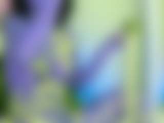 Live cam show with NATALIE-PARKER - Toys on Stripli.com