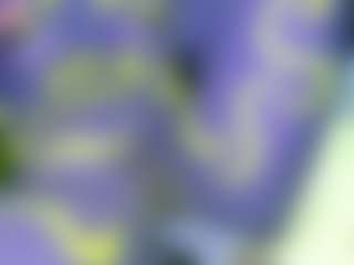 Live cam show with NATALIE-PARKER - Orgasm on chickslive.net