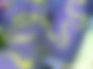 NATALIE-PARKER's Live Sex Cam Show