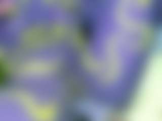 Live cam show with NATALIE-PARKER - Brown Eyes Black on Camversity